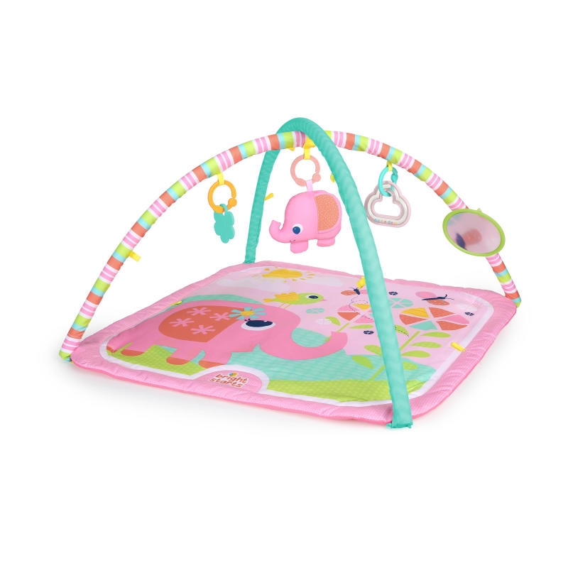Bright Starts - Salteluta de activitati Fanciful Flowers