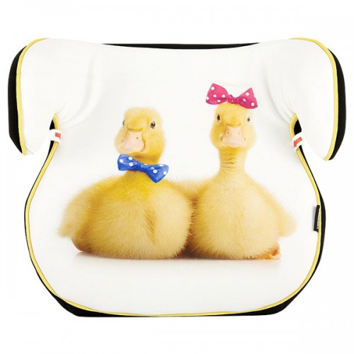 Inaltator auto Chipolino Bimbo ducklings 2015 image 1