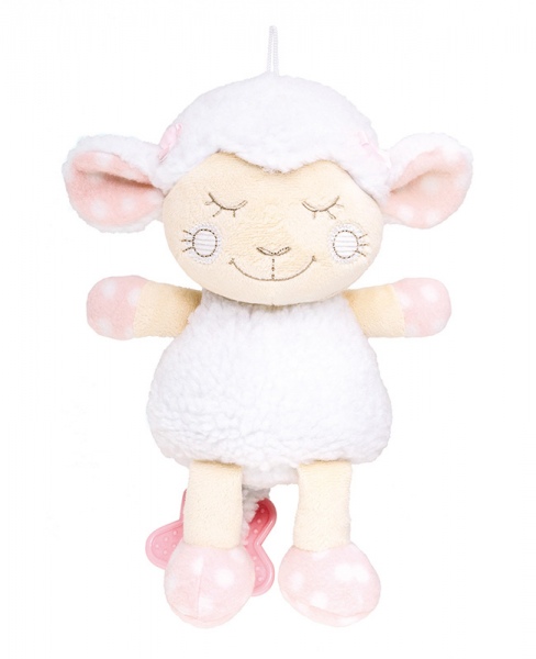 Cutie muzicala plus 2/009