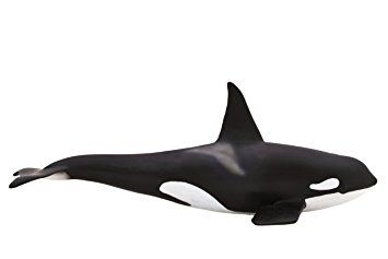 Figurina Balena Mascul
