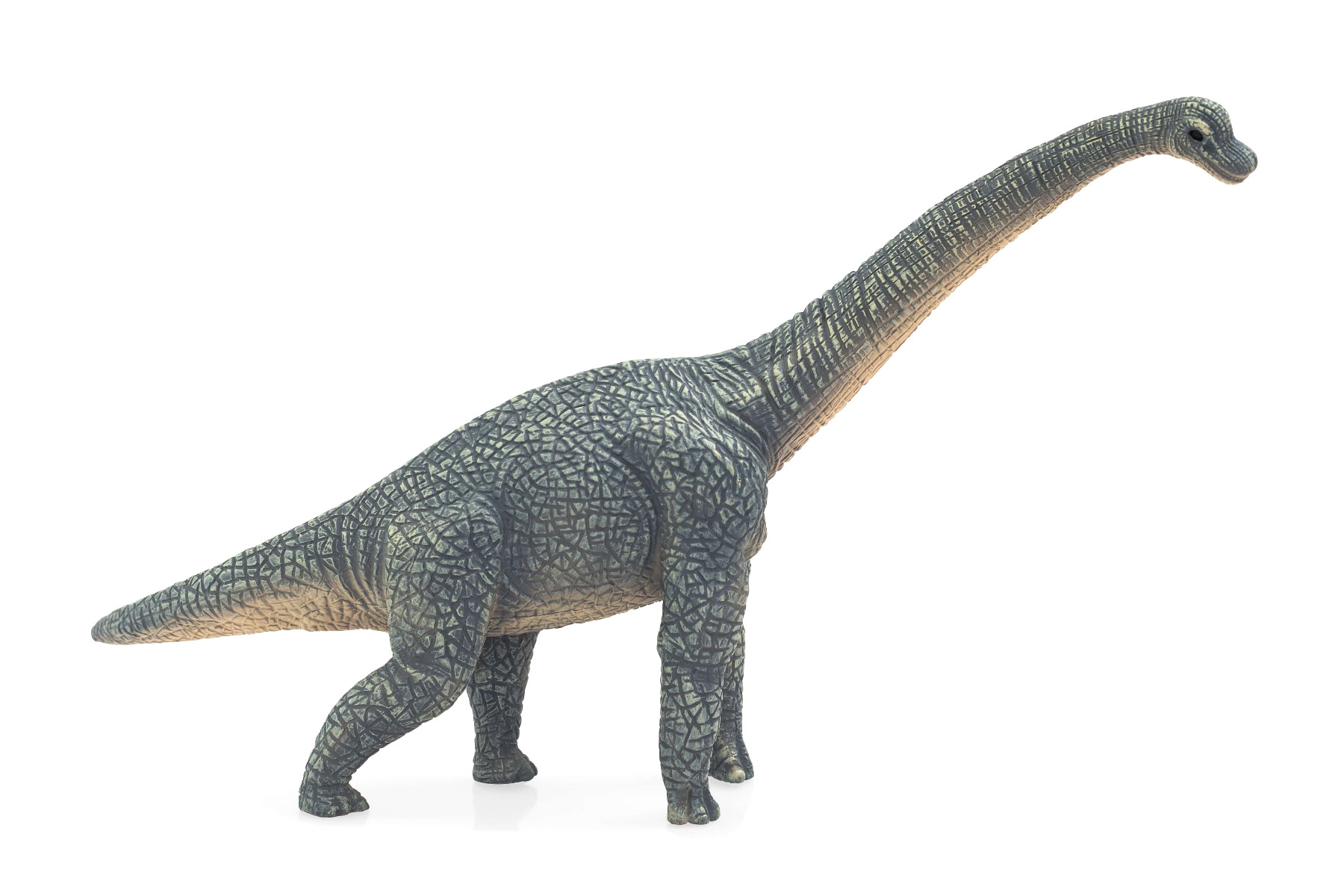 Figurina Brachiosaurus