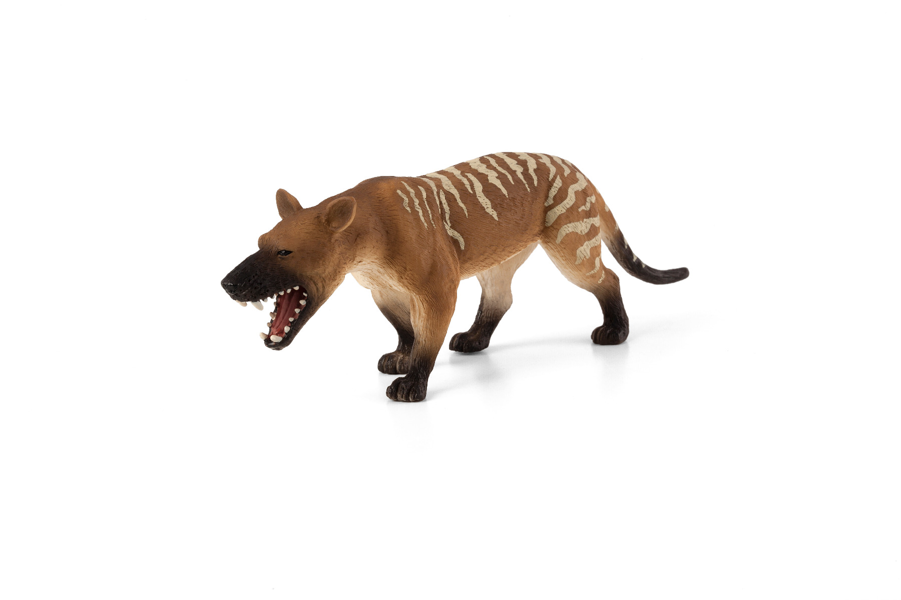 Figurina Hyaenodon