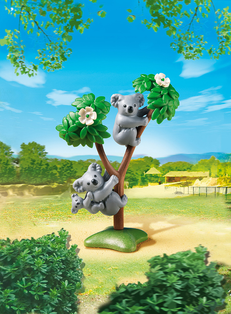 Familie De Koala