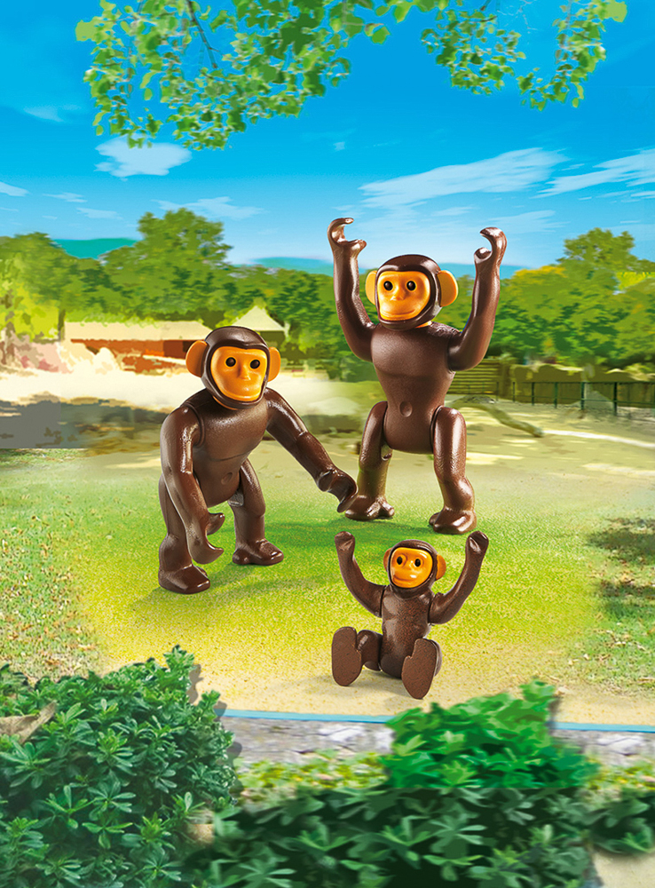 Familie De Cimpanzei image 1