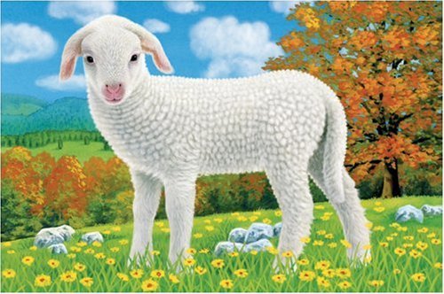 Puzzle Animale Domestice, 6 Piese image 4
