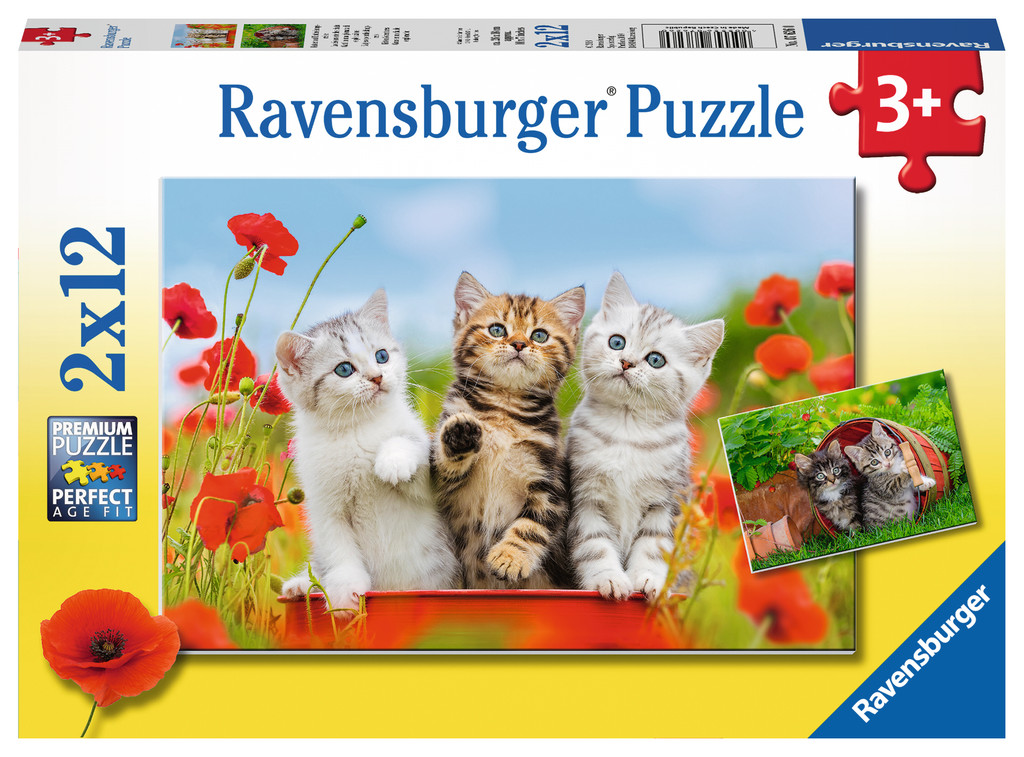 Puzzle Aventura Pisicutelor, 2X12 Piese