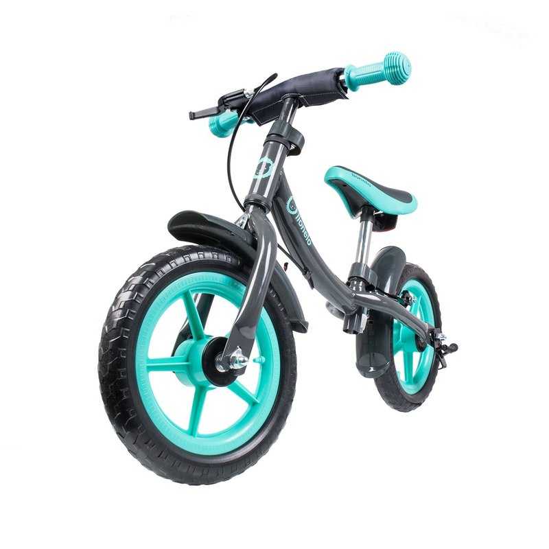 Lionelo - Bicicleta fara pedale Dan Plus Turquoise image 14