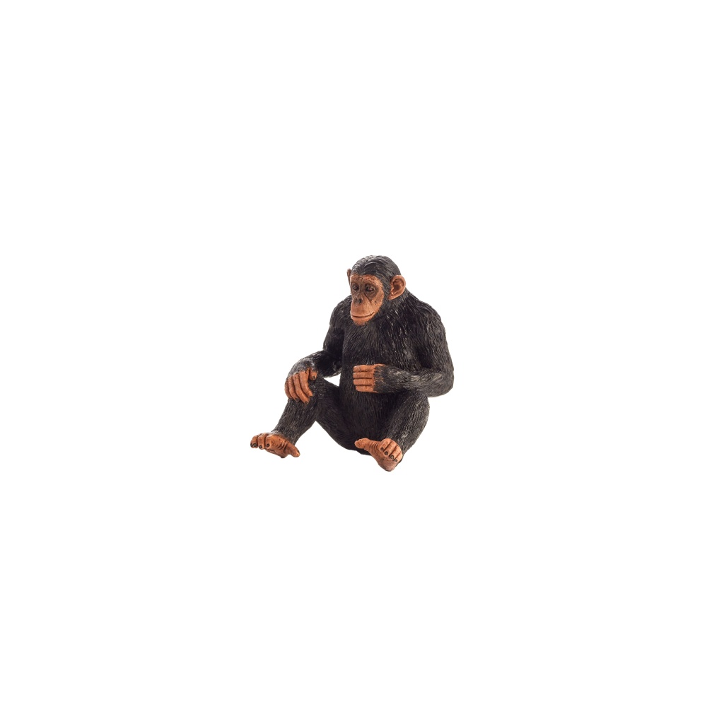 Figurina Cimpanzeu image 1
