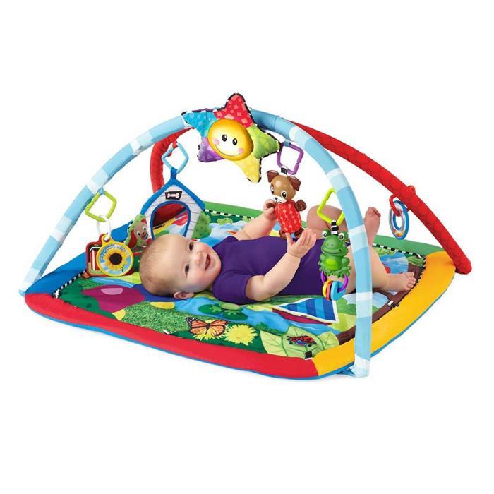 Baby Einstein - Salteluta De Activitati “Omida Si Prietenii” image 1