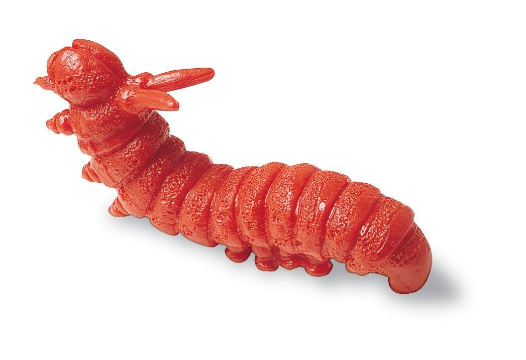Insecte de gradina pentru numarat - set 72 buc image 2