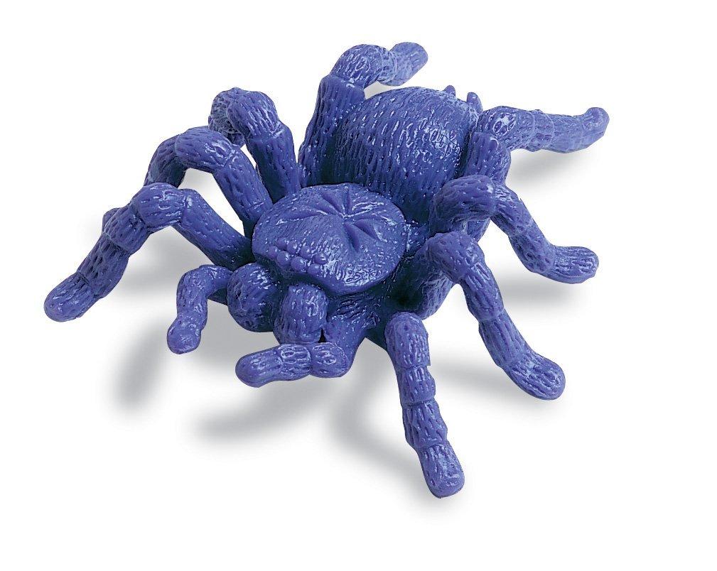 Insecte de gradina pentru numarat - set 72 buc image 3