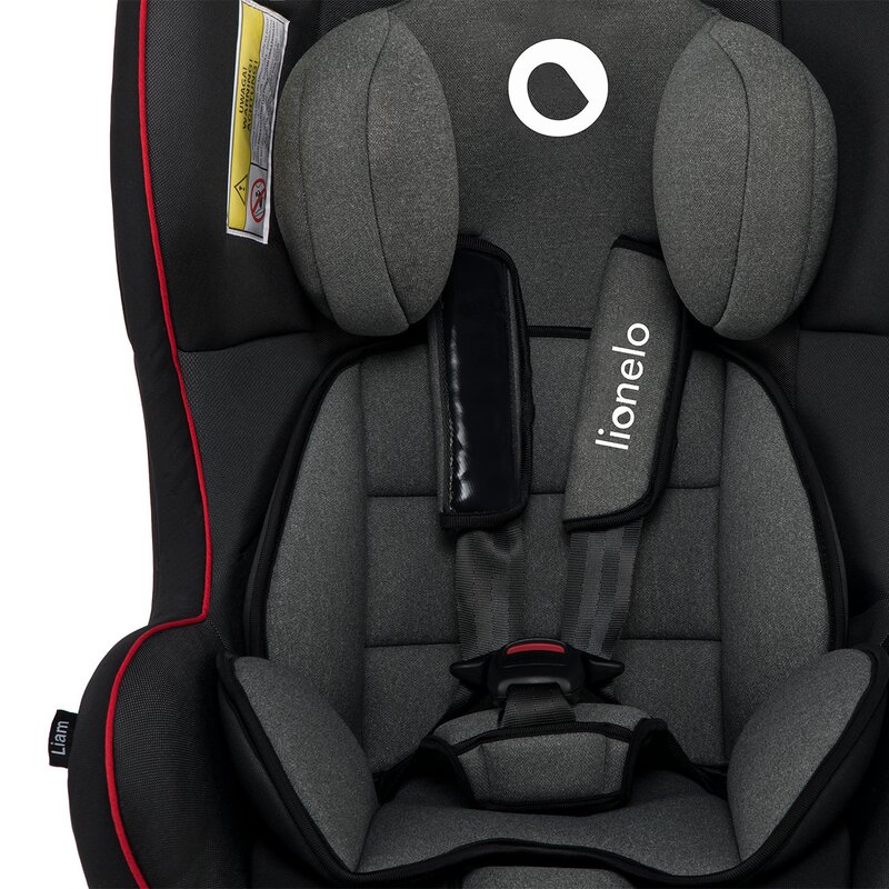 Lionelo - Scaun auto Liam Sporty Spatar reglabil, Pozitie de somn, 0-18 Kg, Negru image 10