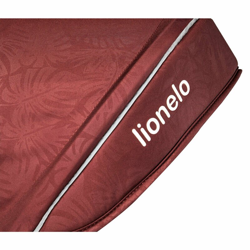 Lionelo - Tricicleta Kori Red Burgundy Suport picioare, Control al directiei, Scaun reversibil, Rotire 360 grade, Pliabila image 21